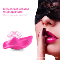 Palamei Wearable Vibrating Egg — Remote Control