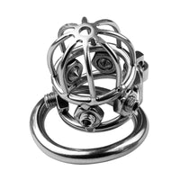 Stainless Steel Male Chastity Device with Lock