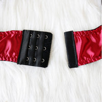 Lace Corset Lingerie Set - Spandex Bustier