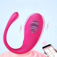 Remote-Control Wearable Vibrating Egg — Discreet Toy