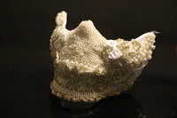 Studded Leather Mask - Punk BDSM Roleplay Mask